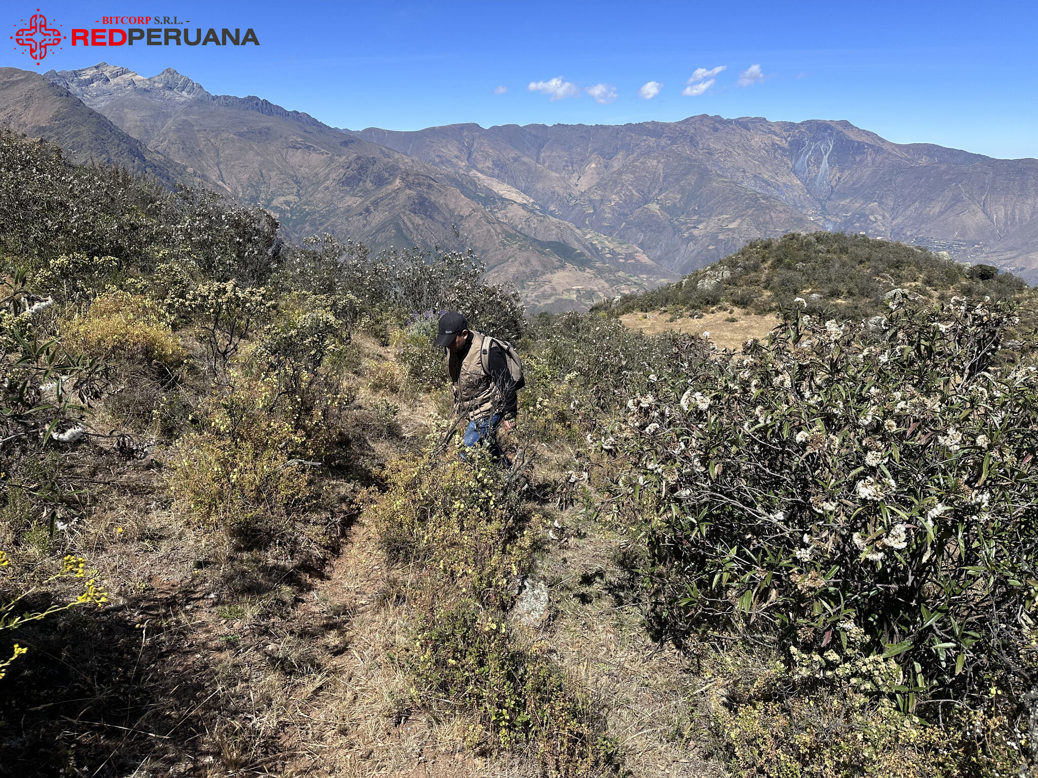 RedPeruana - Consultoría Arqueológica y Ambiental en Perú